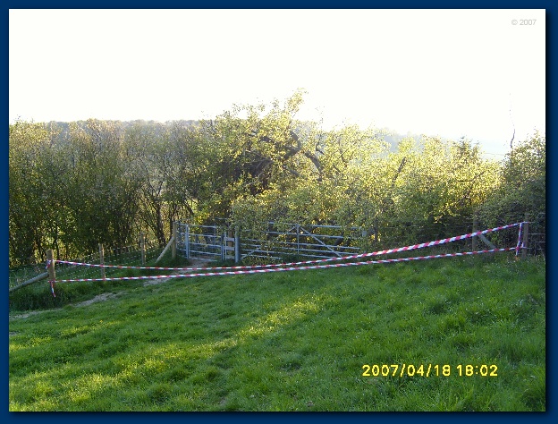 600x449 pixels (153K)